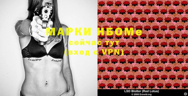 ГАЛЛЮЦИНОГЕННЫЕ ГРИБЫ Покров