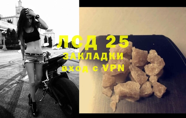 ГАЛЛЮЦИНОГЕННЫЕ ГРИБЫ Покров
